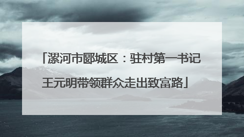 漯河市郾城区：驻村第一书记王元明带领群众走出致富路
